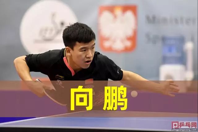 中曾表明 中曾表明